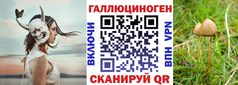 нарко площадка как зайти  магазин    ссылка на мегу зеркало  Березники  Псилоцибиновые грибы ЛСД 